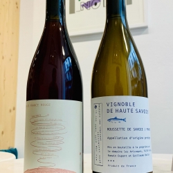 Énorme coup de coeur pour le domaine Les Aricoques en Savoie, un nouveau domaine à découvrir !

https://www.vinsnature.fr/domaine/562-domaine-les-aricoques

Le domaine Les Aricoques est un petit domaine viticole Haut-Savoyard, situé à Frangy Il s’étend sur 4,80 hectares et est planté d’Altesse, Jacquère, Mondeuse et Gamay. Installé sur un coteau de moraine glaciaire à 450 mètres d’altitude avec une exposition sud/sud-ouest, il est en conversion biologique depuis août 2021.

Romain Dupont et Guillaume Bellon, amis de lycée, ont repris ce vignoble de près de 5 hectares à Frangy et ont rapidement suscité l’enthousiasme des amateurs de vin. Après des années de formation dans des régions viticoles prestigieuses comme le Rhône et la Nouvelle-Zélande, ils sont revenus en Haute-Savoie pour appliquer leurs connaissances et élever la qualité et la notoriété des vins locaux.

Ils convertissent leur vignoble à la viticulture biodynamique, estimant que c’est essentiel pour produire des vins de haute qualité, notamment en raison des sols pauvres qui limitent les rendements.

@domainelesaricoques #domainelesaricoques

#vin #vinbio #vinsbios #vinbiologique #wine #vinnaturels #vinvivants #purjus #vinsnature #vinsnaturels #organicwines #biodynamicwines #naturalwine #naturalwines #lyon #cavistelyon #lyon #vinbiodynamique #winelover #vino #redwine #winetasting #foodandwine #winetime #winery #vinho #winelovers #winestagram