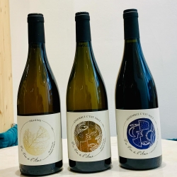 👍Nouvelle pépite dans le Beaujolais et trois magnifiques cuvées à découvrir !

Ensemble c’est tout blanc 2023
Issu de Chardonnay cultivé sur des sols argilo-calcaires riches en cailloux, ce vin présente un nez pur légèrement réducteur. La vinification classique, avec fermentation et élevage en cuves ovoïdes, vieux fûts et un peu en amphores de terre cuite, confère à ce vin une bouche vive et pure, non filtrée ni collée. Il est parfaitement en place et prêt à être dégusté, avec une belle énergie.

Imagine 2023
Un Chardonnay en macération carbonique de 13 jours, suivi d’un élevage en jarres de grès. Plus axé sur la tension que la réduction, ce vin provient d’un terroir crayeux (sols calcaires tendres). L’utilisation d’un pressoir vertical en bois et un terroir très crayeux confèrent au vin une belle minéralité et un profil vibrant et frais.

Ensemble c’est tout rouge
Un Moulin-à-Vent riche issu d’un lieu-dit en altitude sur un versant sud-ouest, bénéficiant de fraîcheur et de belle maturité. Ce vin est élaboré à partir de vieilles vignes massales de 1940, en gobelets, avec une macération carbonique de 19 jours, puis un élevage en cuves ovoïdes, fûts anciens et amphores de terre cuite. Le résultat est un vin profond, complexe, fluide, avec une touche naturelle, sublimé par un seul pigeage avant pressurage.

#domaineduvinalame @du.vin.a.l.ame #beaujolais #vin #vinbio #vinsbios #vinbiologique #wine #vinnaturels #vinvivants #purjus #vinsnature #vinsnaturels #organicwines #biodynamicwines #naturalwine #naturalwines #lyon #cavistelyon #lyon #vinbiodynamique #winelover #vino #redwine #winetasting #foodandwine #winetime #winery #vinho #winelovers #winestagram